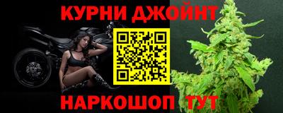 шишки Бердск