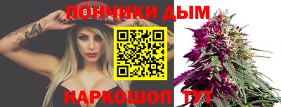 шишки Бердск