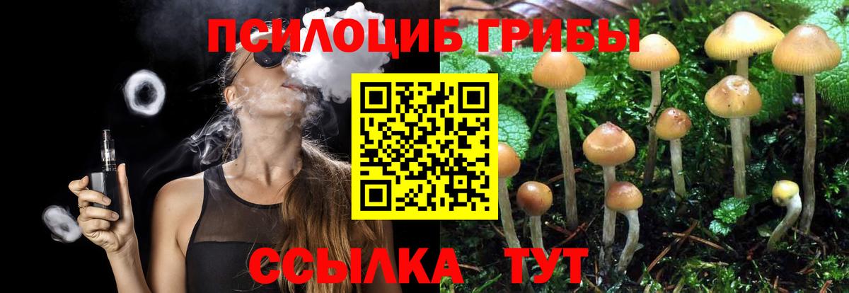 Псилоцибиновые грибы Psilocybe  Вход с VPN  Псилоцибиновые грибы Psilocybine cubensis  Донской 